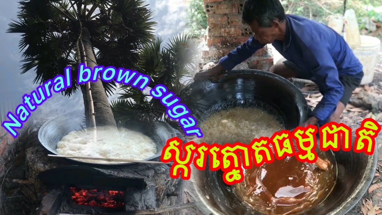  Natural brown sugar ទិដ្ឋភាពរំងាស់ស្ករត្នោតនឹងការផលិតស្គរត្នោតធម្មជាតិ