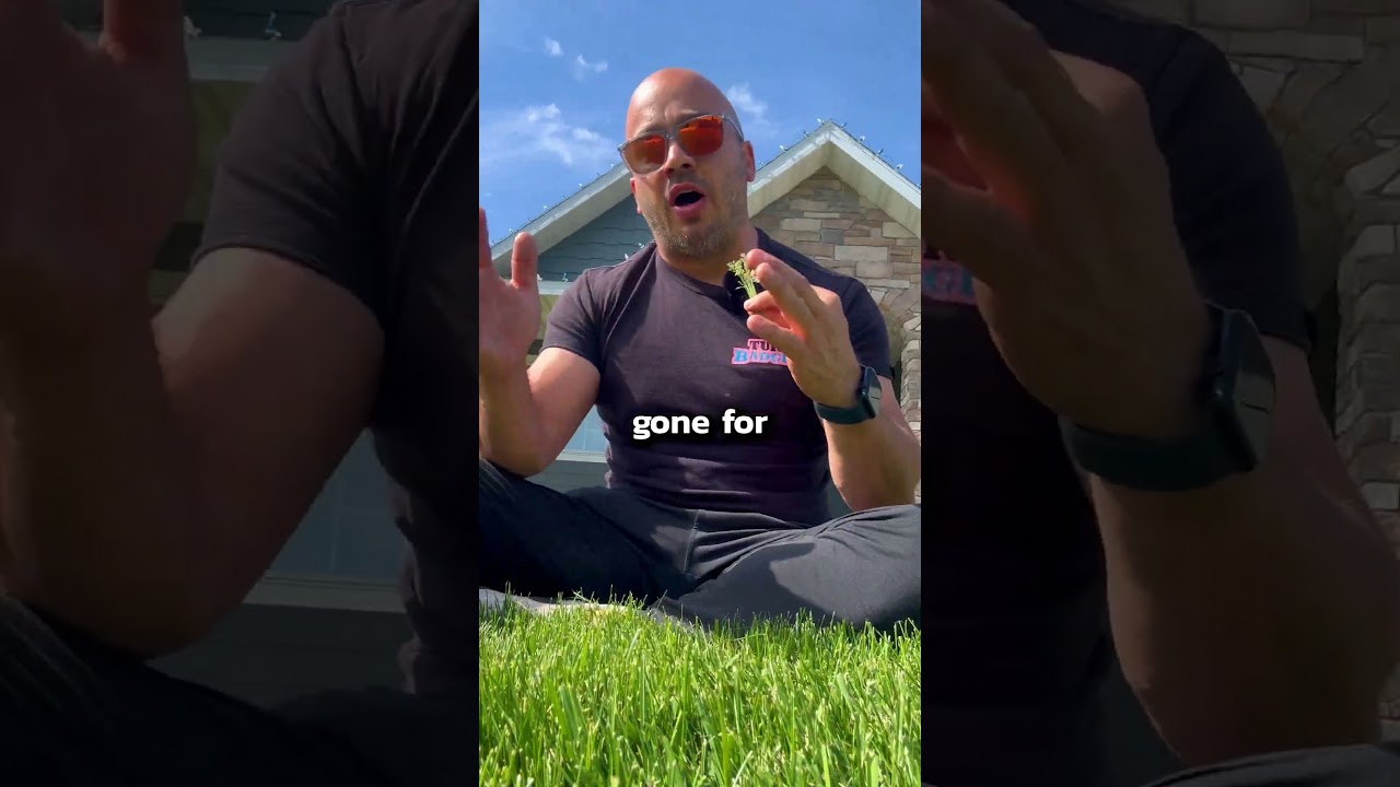 How to Deal With Seed Heads!