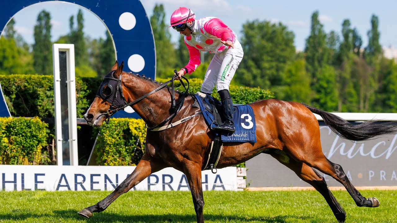 Jan Verner po vítězství s Black Paws  ve Velké květnové ceně 🏆🐎