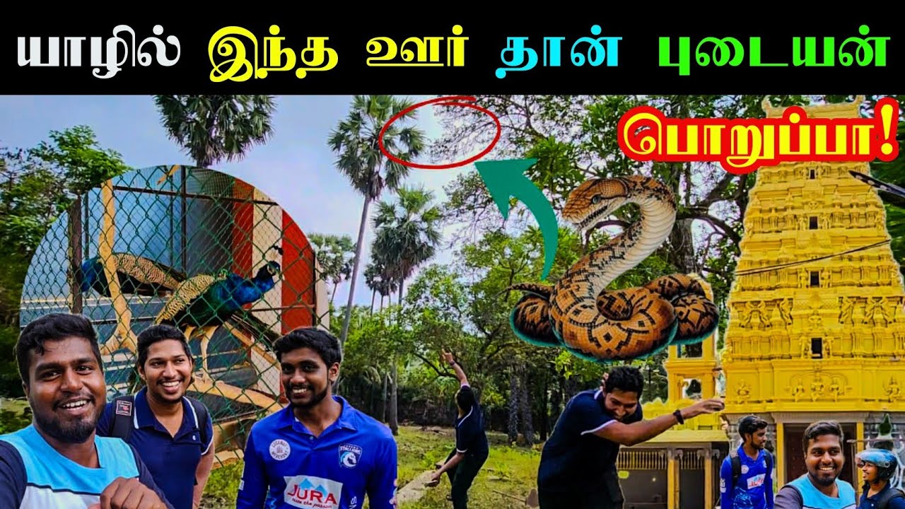 வந்தாரை வாழ வைக்கும் அழகிய கிராமம் ❤️  | வடலியடைப்பு | Jaffna