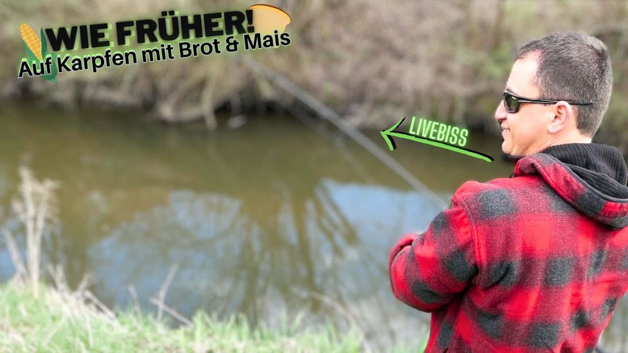 Wie fr&uuml;her  - Auf Karpfen mit Brot und Mais