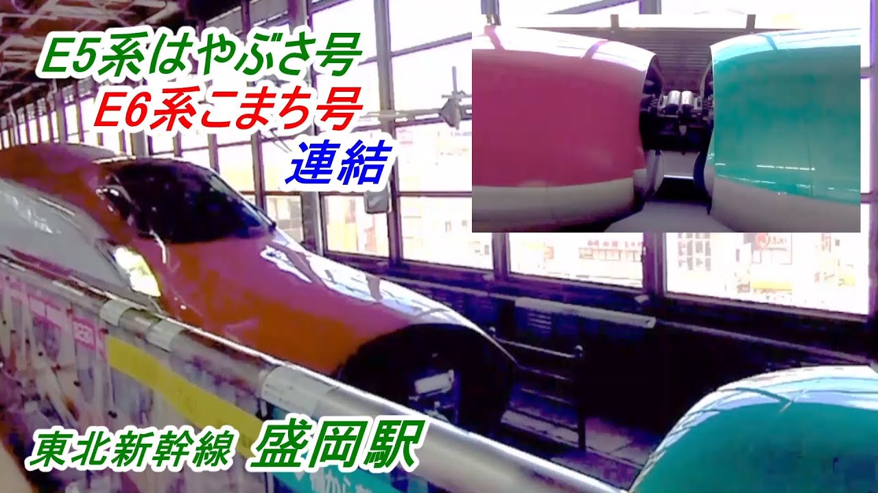 東北新幹線『盛岡駅』にて   E5系「はやぶさ号」と E6系「こまち号」の 連結