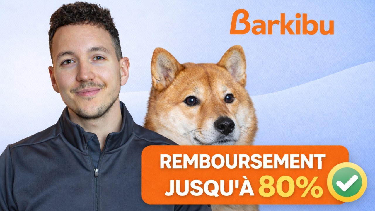 Barkibu : mon avis HONNÊTE sur la mutuelle (plafond, remboursement, délais...)