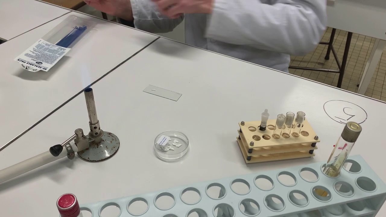 Test oxydase