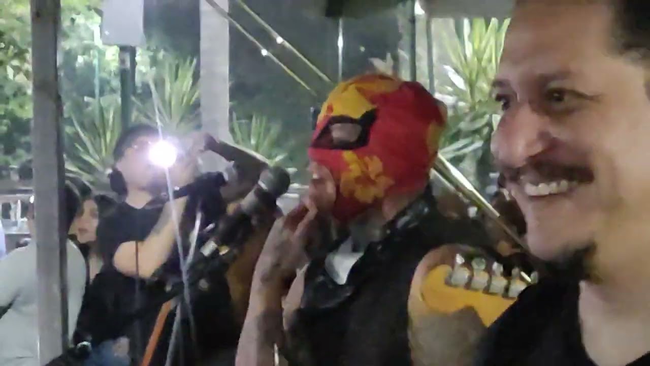 Vecinos Nocivos - El Ilustre + Elefantes (Vivo en Parque Juárez Xalapa, Veracruz) 5 de 5