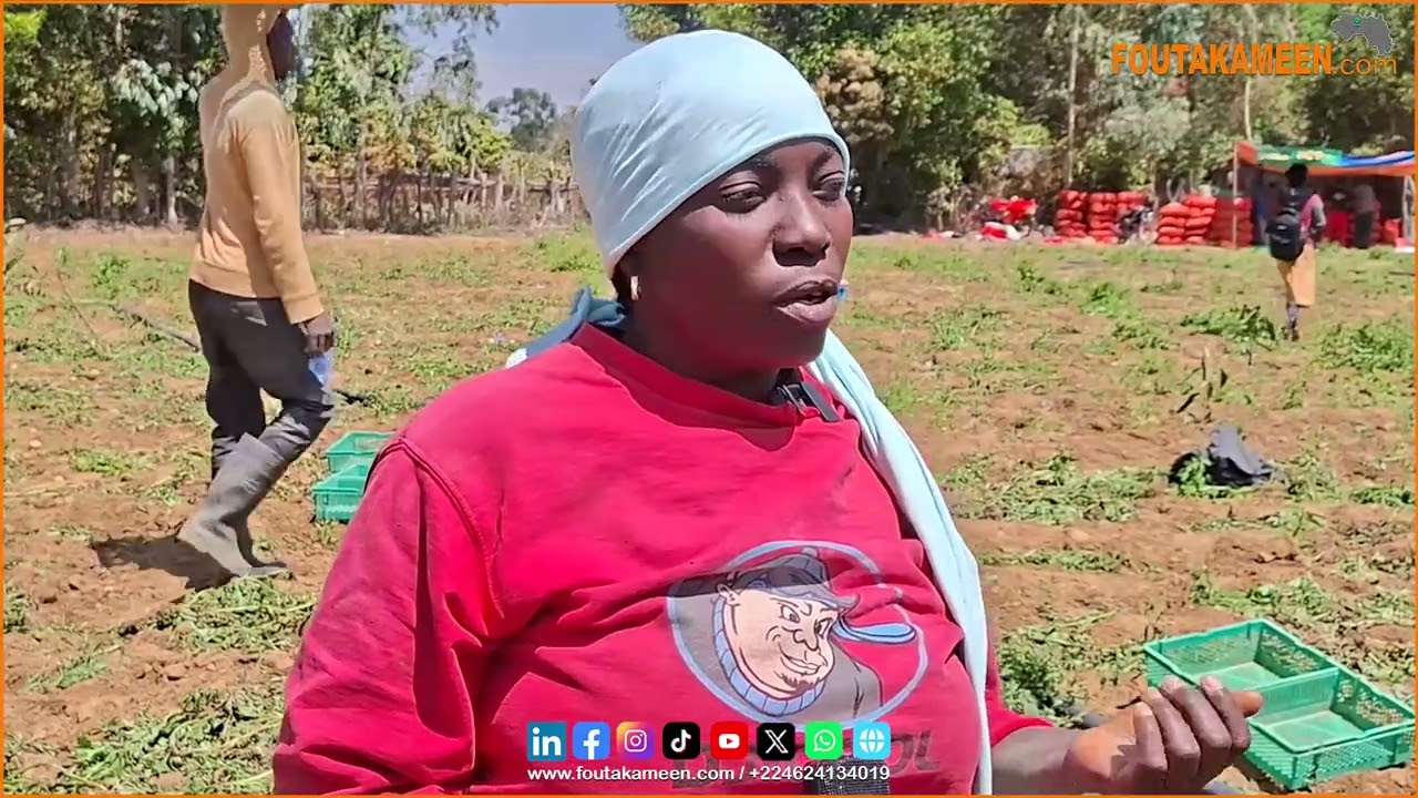 Lancé dans l’agriculture et l’élevage depuis plusieurs années, Mamadou 