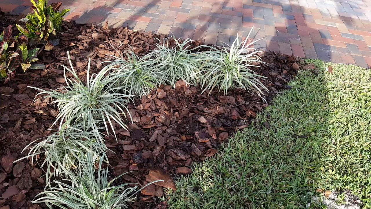Pine bark nugget project frome home depot