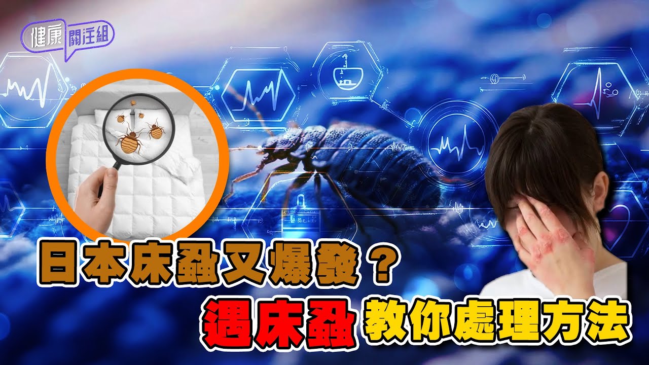 日本床蝨又爆發？遇床蝨教你處理方法 ｜ 健康關注組 ｜ EP299 ｜ 床蝨 ｜ 吳雲甫 ｜ 朱智賢 ｜ HOY TV 77台