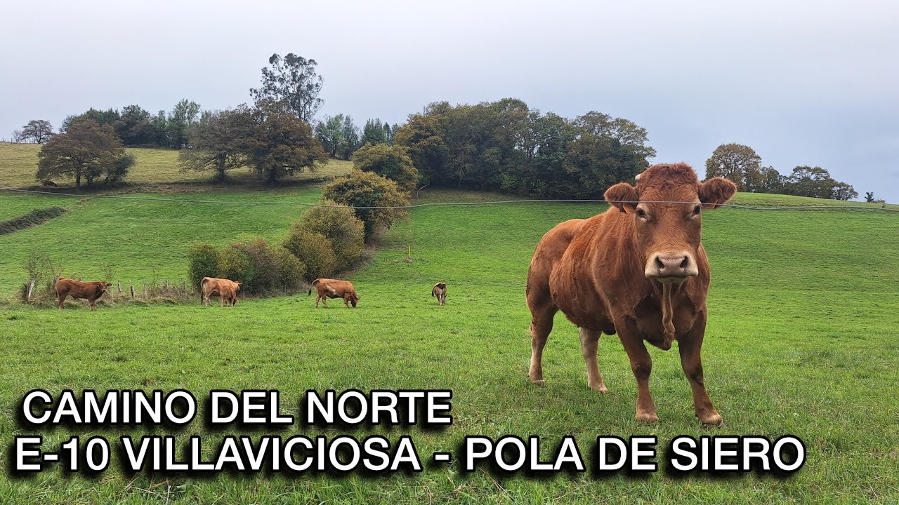 Camino del Norte.  Etapa 10, Villaviciosa - Pola de Siero
