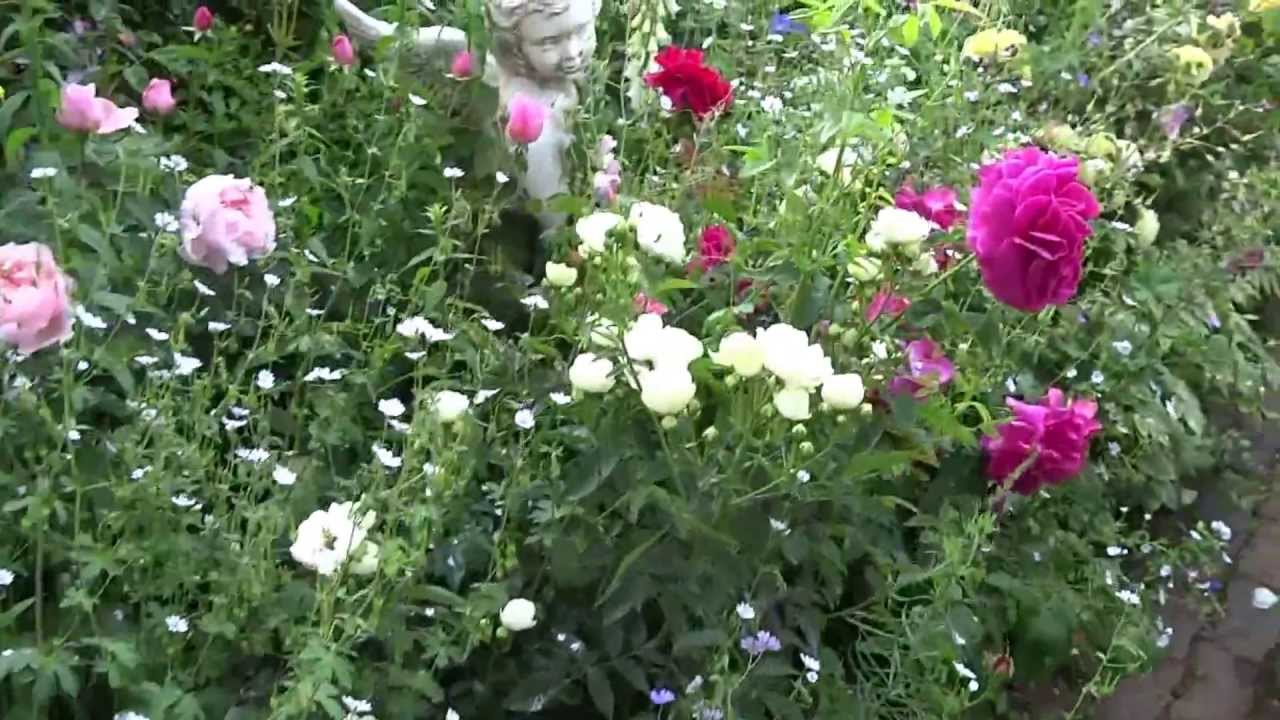 バラと草花そして美しいガーデンの樹木