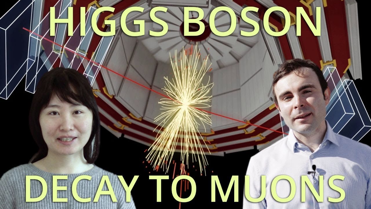 Higgs Boson decaying to two Muons