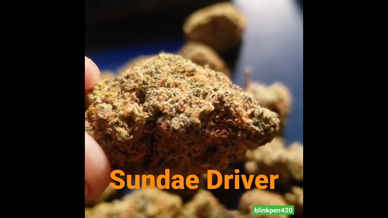 Sundae Driver - Cannabis Showcase