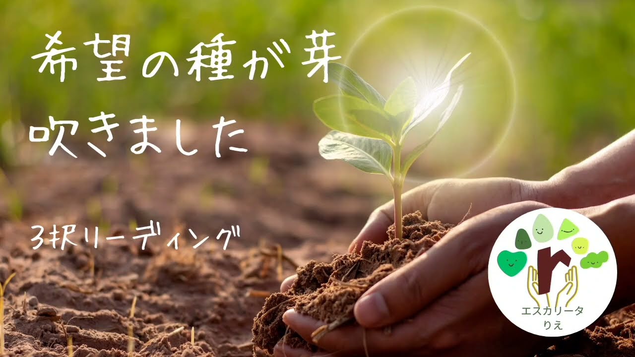 今の人間関係、恋愛、仕事、生活全てにおいてのお悩みに対する解決策をリーディングしました。３択ですが最初はインスピレーションの鑑定、その後更に補足読みをしました。よかったら2つ見てください🙇‍♀️