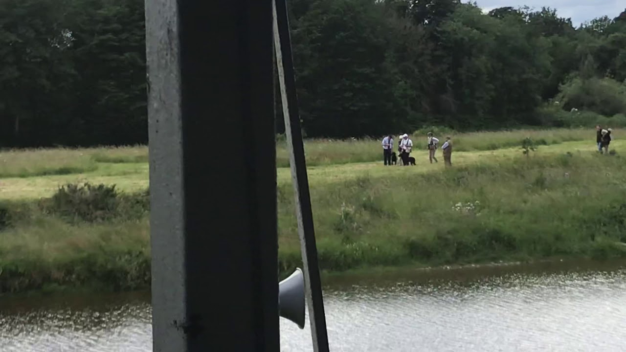 2019 Scottish game fair. Nigel Probert Llangynidr gundogs