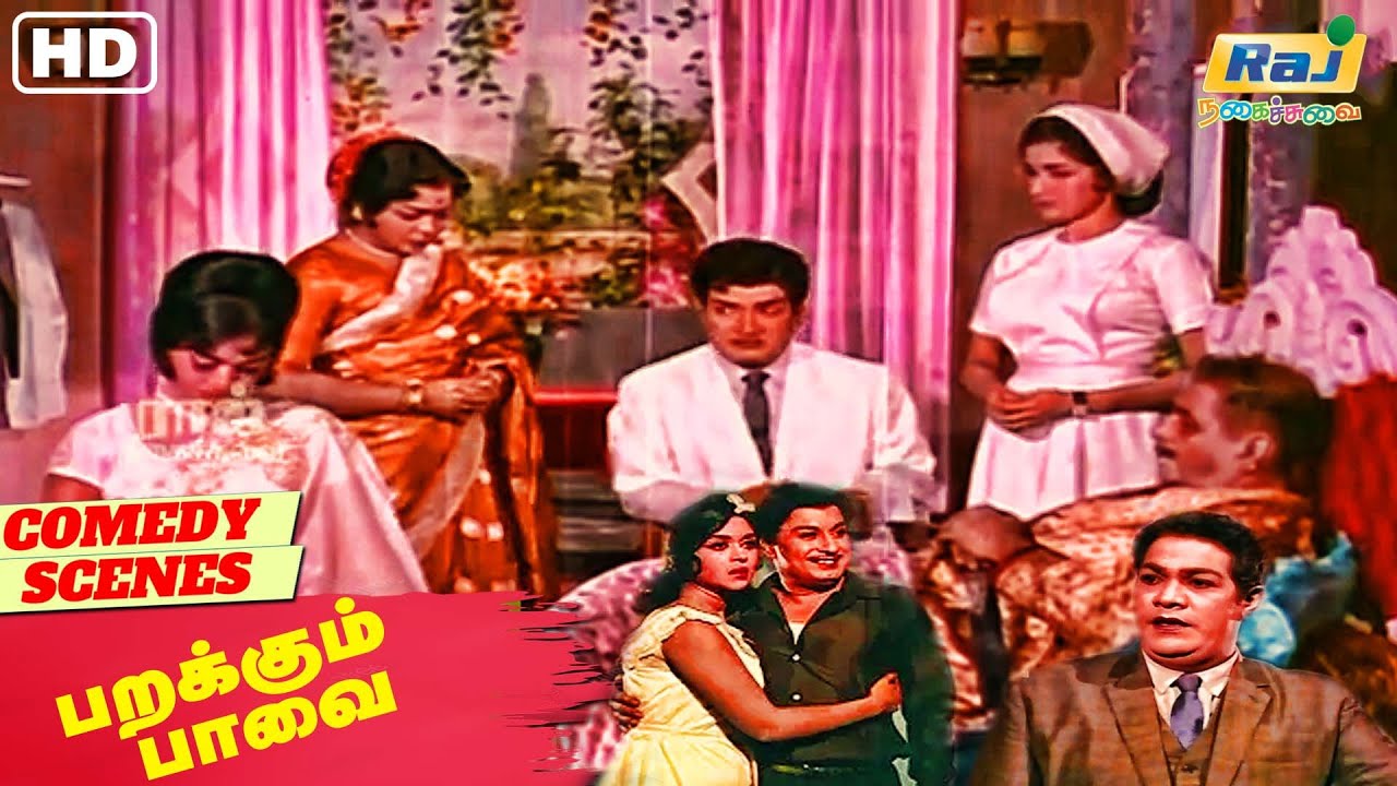 சாந்தா சாந்தா....? குட் மார்னிங் டாக்டர்.. | Parakkum Pavai Movie Comedy | M.G.R | Raj Nagaichuvai