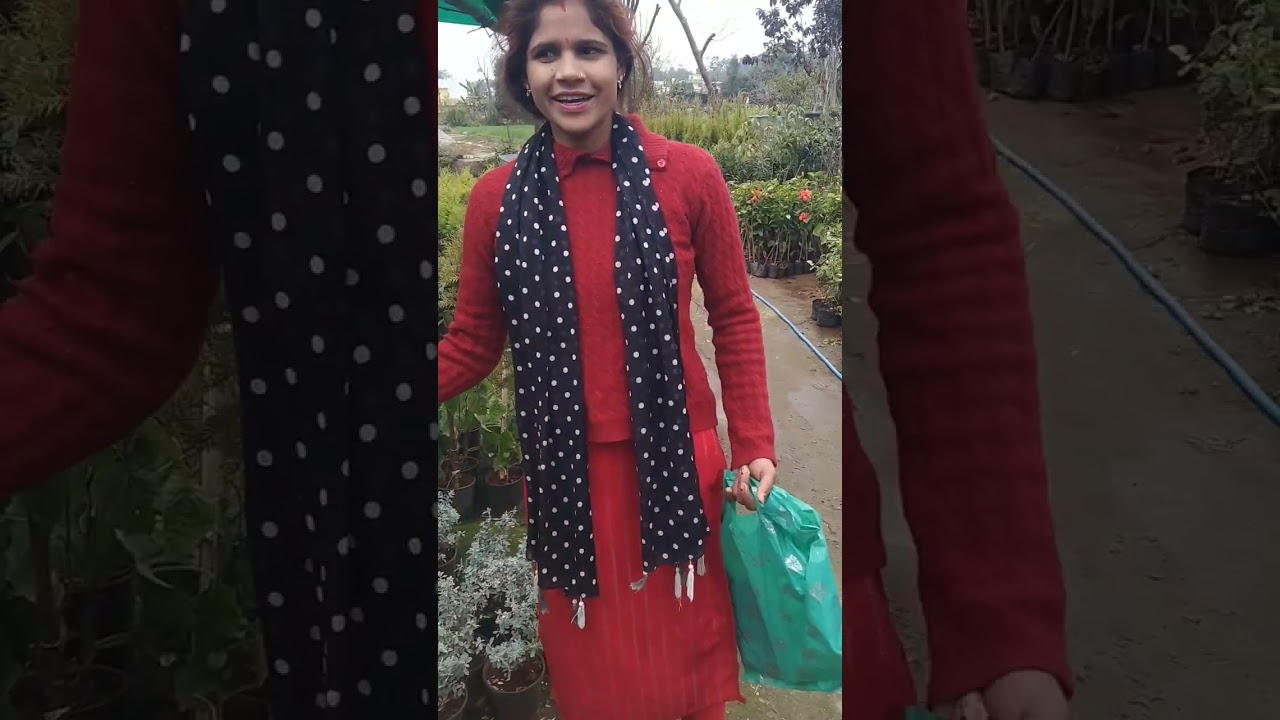🌼 Aaj Ki Nursery #Shopping | Itne Sare Plants Le Aayi!#😄🥰🌱🌿