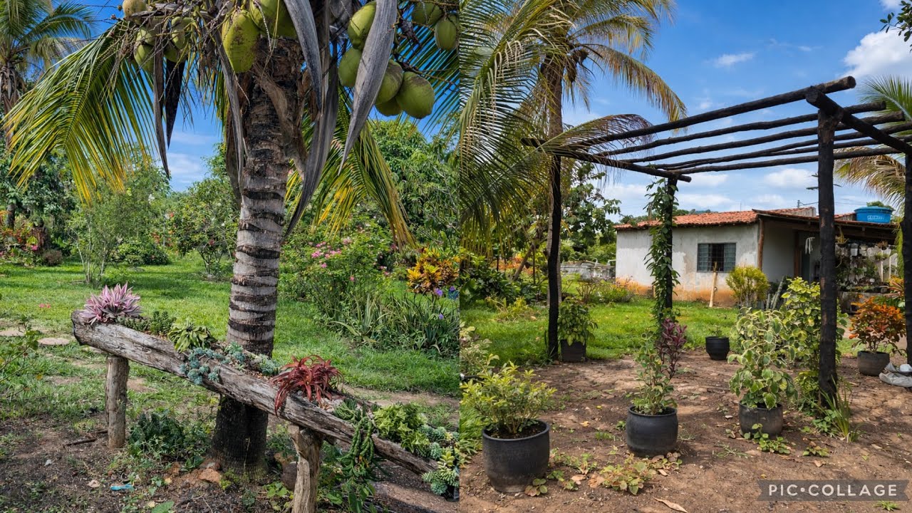 Um paraíso escondido no meu quintal | Tour pelo jardim 💚
