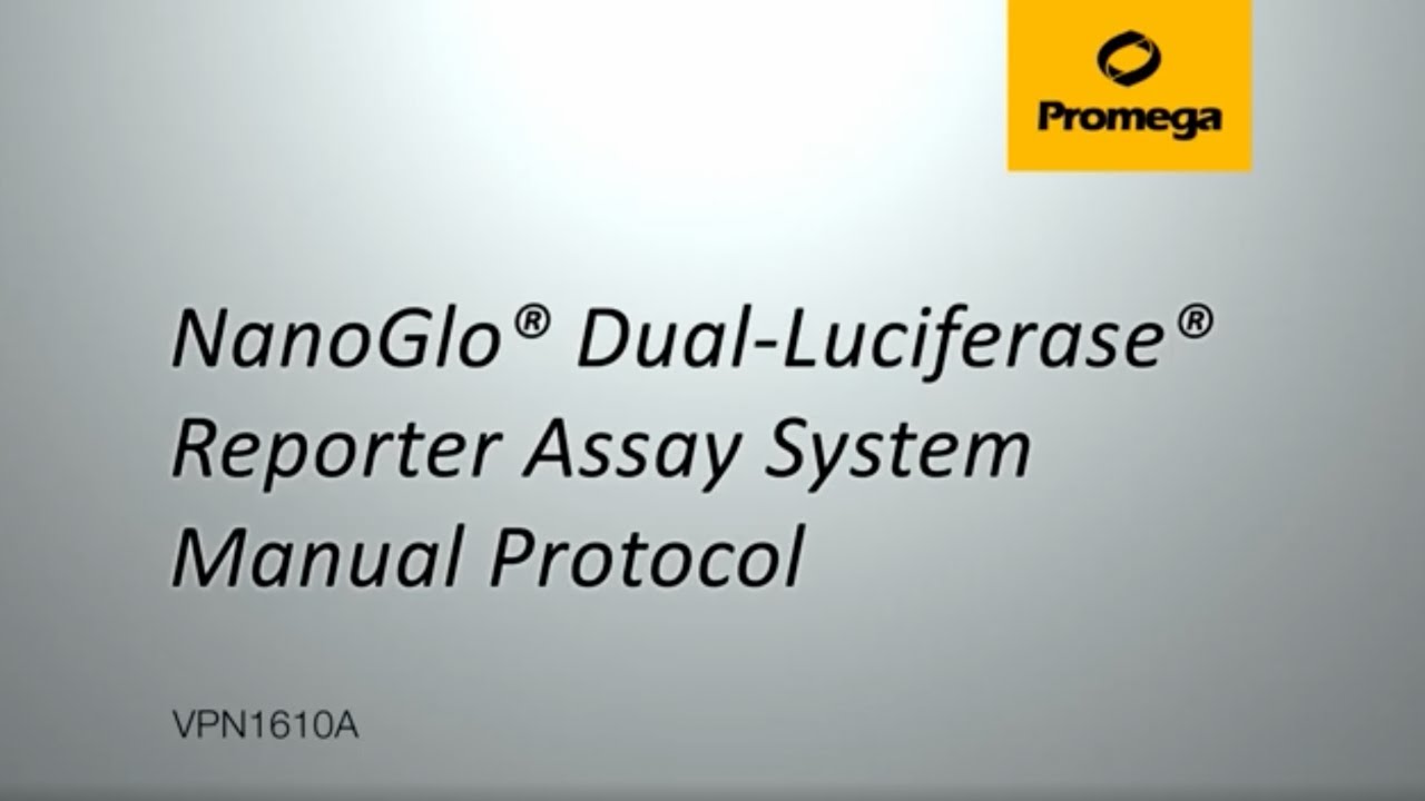 Nano-Glo&reg; Dual-Luciferase&reg; Reporter Assay System, Manual Protocol