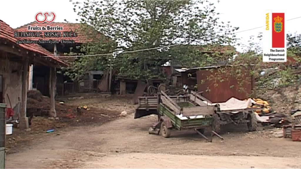11   BUJANOVAC, SRPSKA KUCA   Slavoljub Dimic grafika