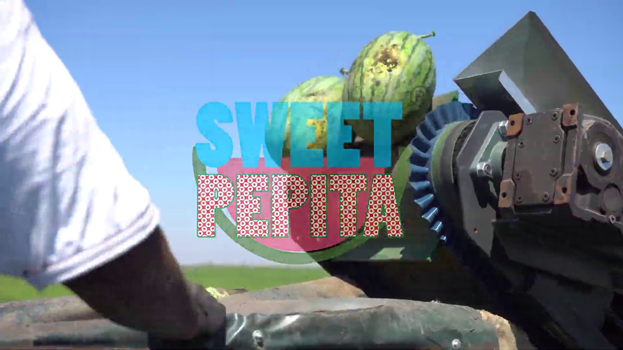 SWEET PEPITA - KONCEPT - RAZVOJ NOVOG PROIZVODA - Prva klubska lubenica