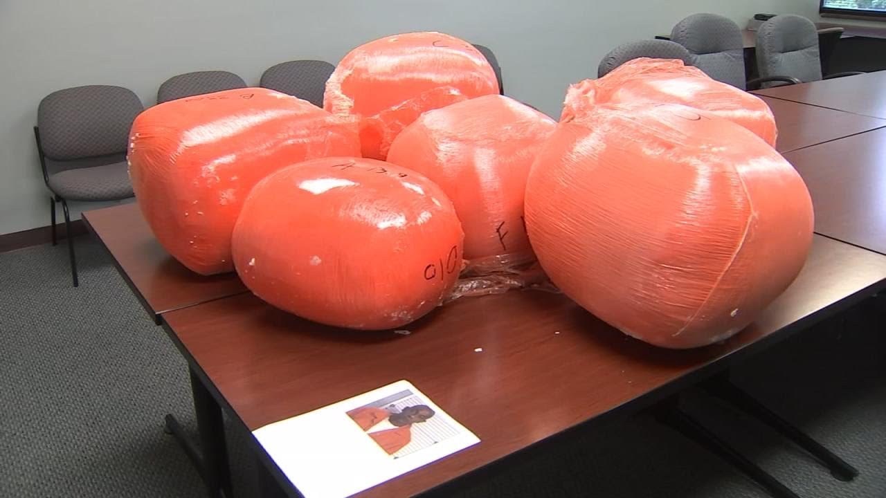 Major drug bust uncovers nearly half a million dollars in marijuana