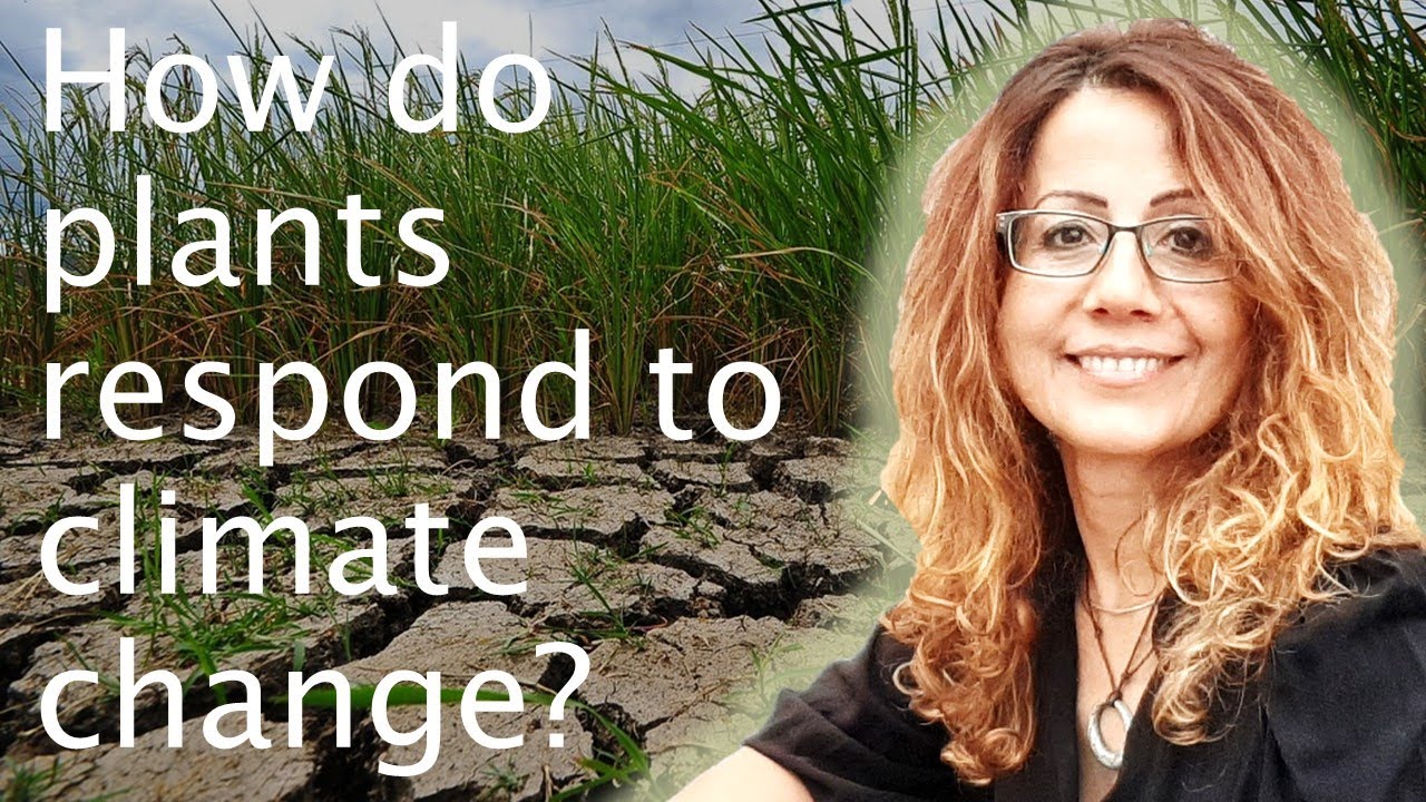 Climate change: plant responses to stress - Alessandra Devoto