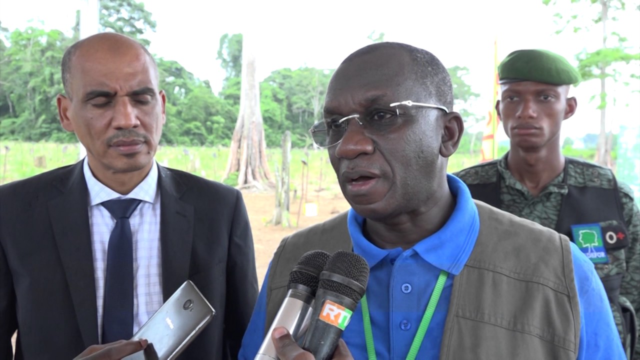 Forêt Ivoirienne : Lancement officiel de la campagne de reboisement 2017
