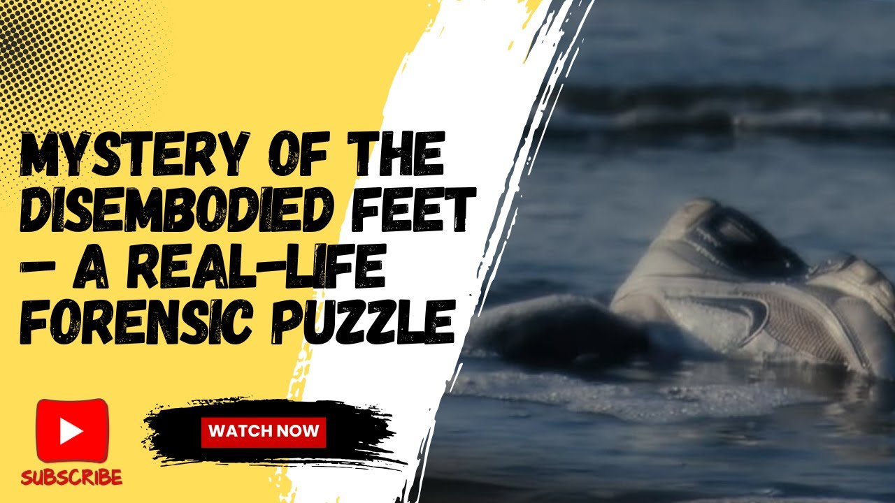Mystery of the Disembodied Feet &ndash; A Real-Life Forensic Puzzle