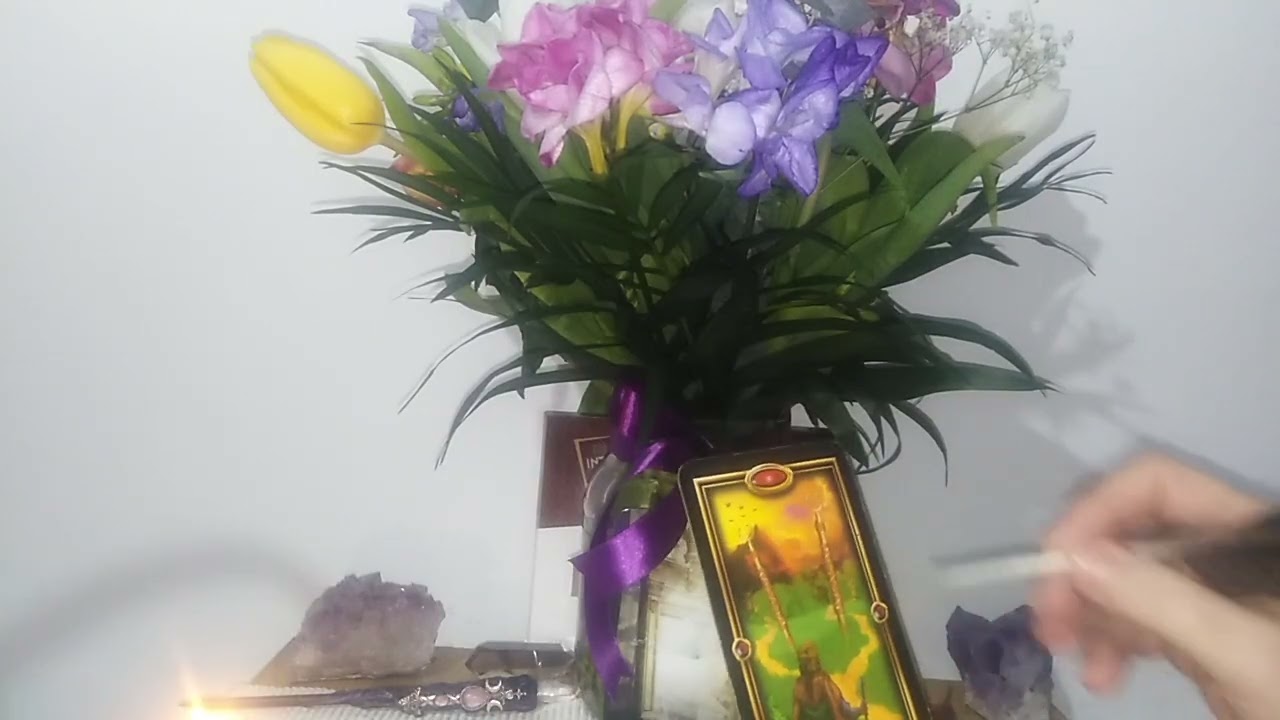 MARTIE POARTA CATRE LIBERTATE - CE LASI IN URMA / SPRE CE MERGI - LA ALEGERE