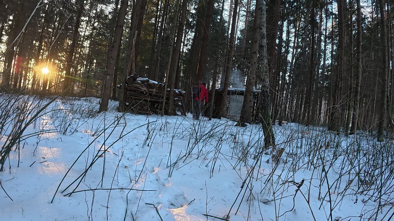 Одна в лесу, в хижине. Хожу, топлю/пилю/гуляю..