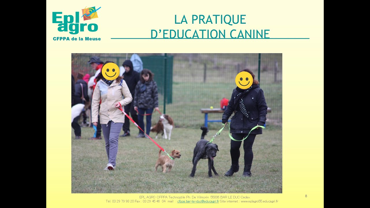 Présentation BP Éducateur canin