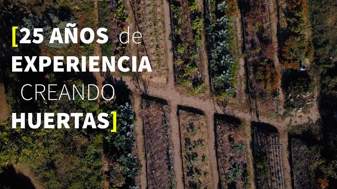 Agricultura sinergica [CONSTRUCCIÓN de bancales, ASOCIACIONES, ROTACIONES]