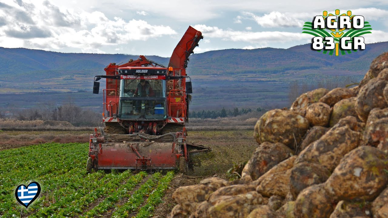 Τεύτλα Συγκομιδή 2020 - Sugar beets harvest