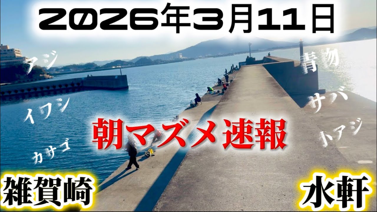 【朝速報】釣るなら今ココ‼️アジサバイワシ青物etc&hellip;