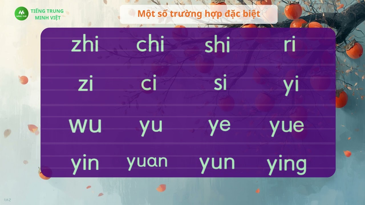 Bài 1: Thanh mẫu, Vận mẫu, Thanh điệu | Luyện phát âm Pinyin tiếng Trung cho người mới bắt đầu