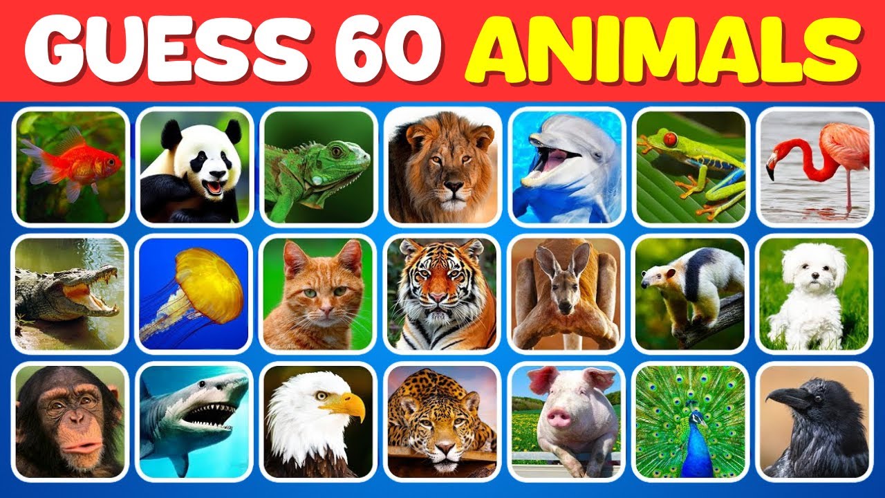 Guess 60 ANIMALS in 3 Seconds 🐱🐵 | EASY to IMPOSSIBLE