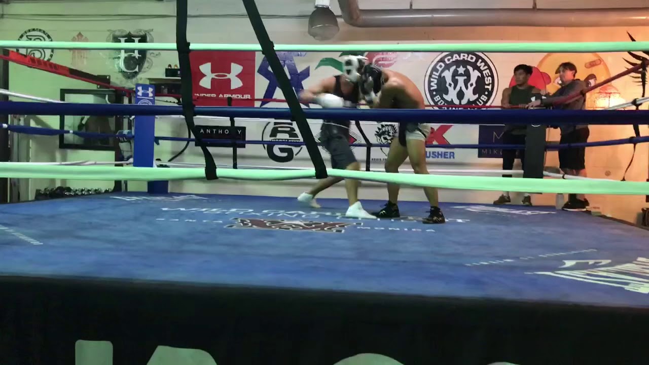 Regis Prograis spars Nate D&iacute;az &ldquo;We tried to kill each other&rdquo;