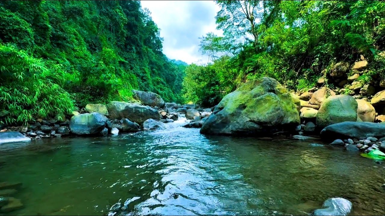 🔴 Mystic River Flow: Ambient Water Sounds for Mindful Relaxation
