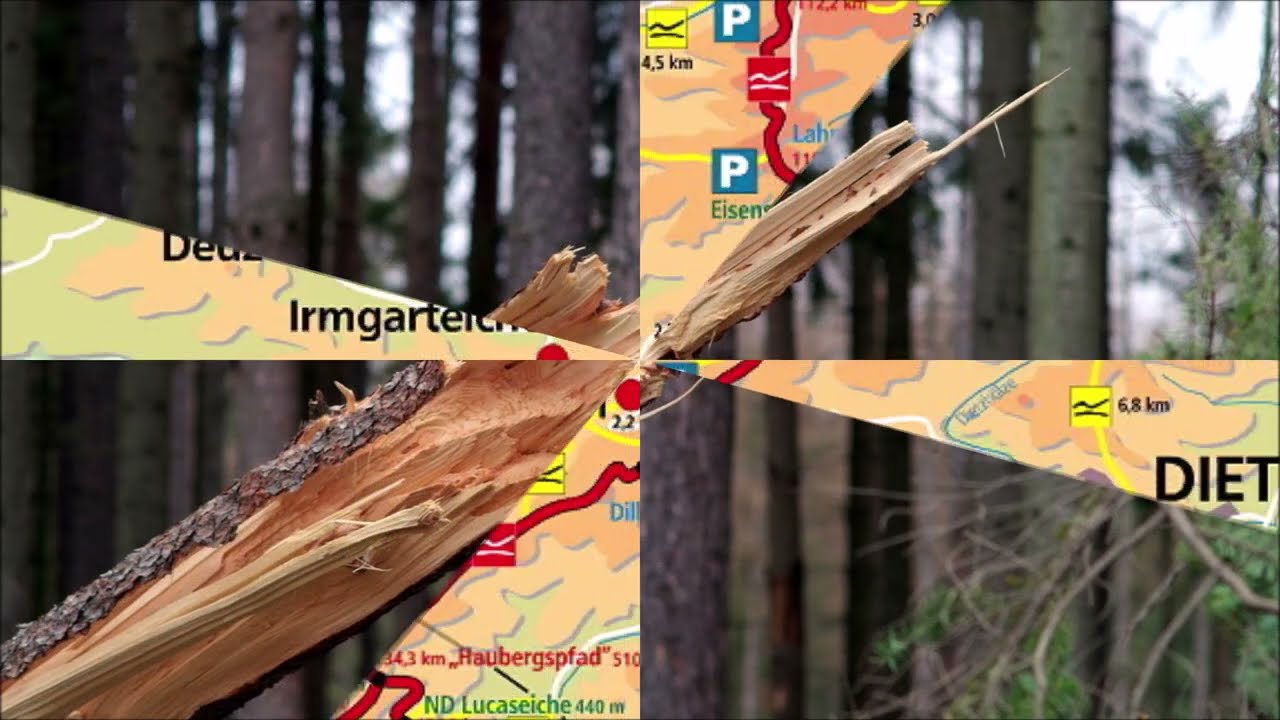 Rothaarsteig von Kalteiche bis Lahnhof: Wie sehen die Wege aus nach dem Sturm? – Eine Erlebnisfahrt