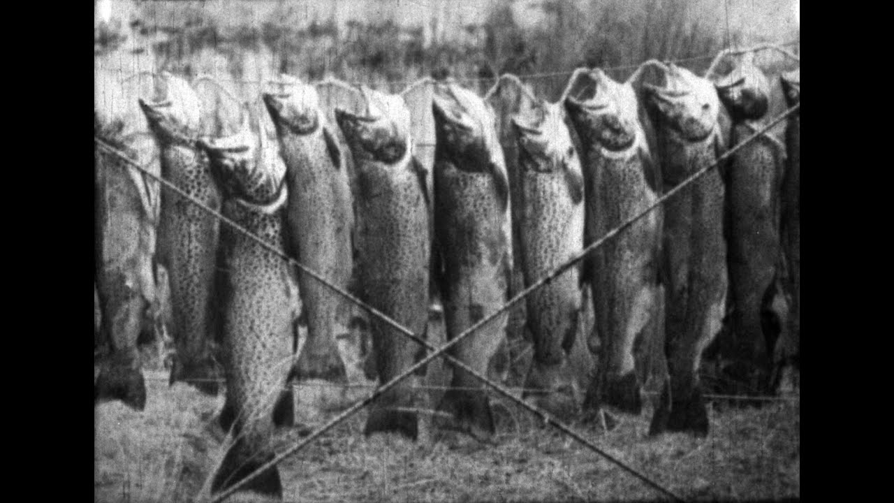 The Lure of the Rod (c.1920s)