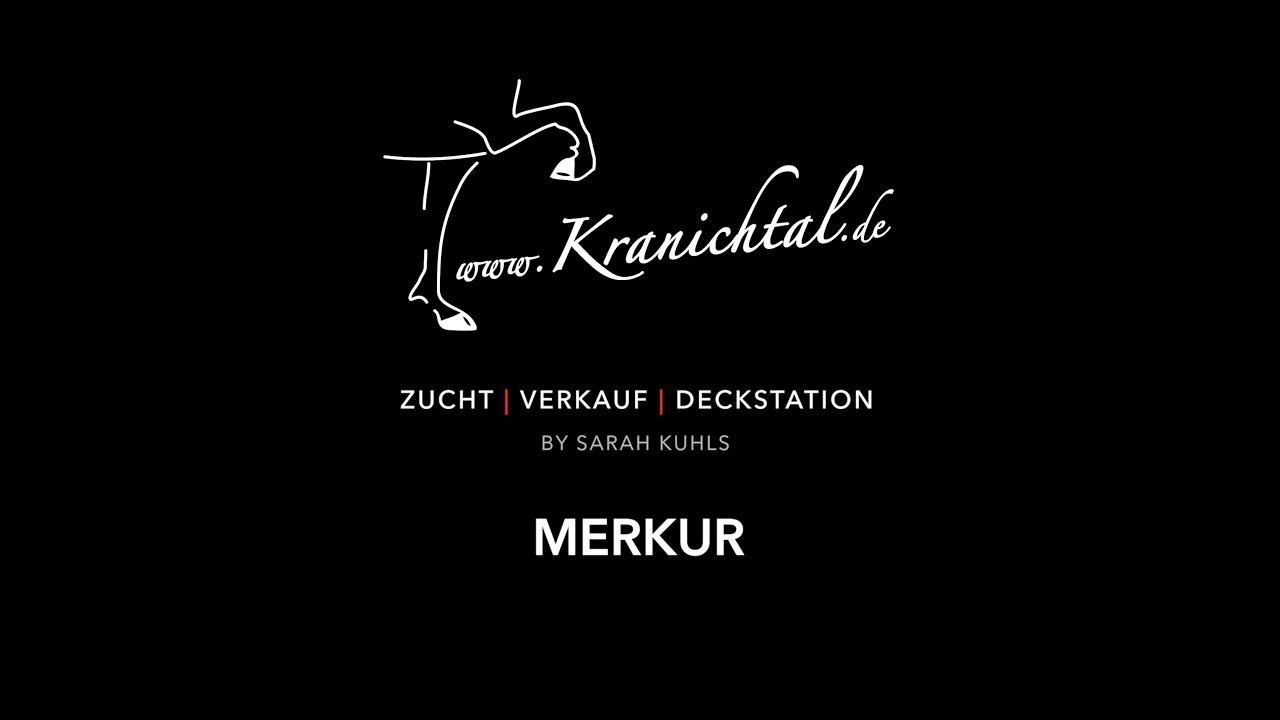 Merkur vom Maischeiderland