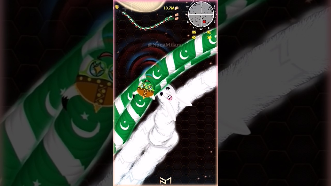 Wormate.io The Legend Vs  Newbie 🤫 