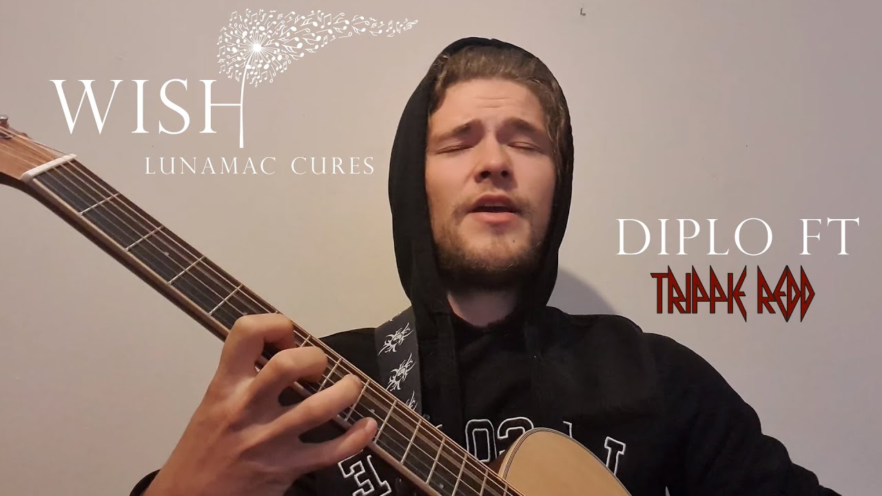 Diplo - Wish (feat. Trippie Redd) ~ Acoustic Cover By LunaMac