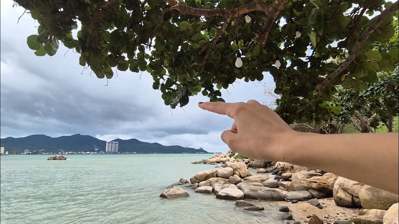 ASMR 💙🇻🇳 with SEA and PLANTS 🌊 🌴 Hand sounds and movements, leaves rustling, tracing