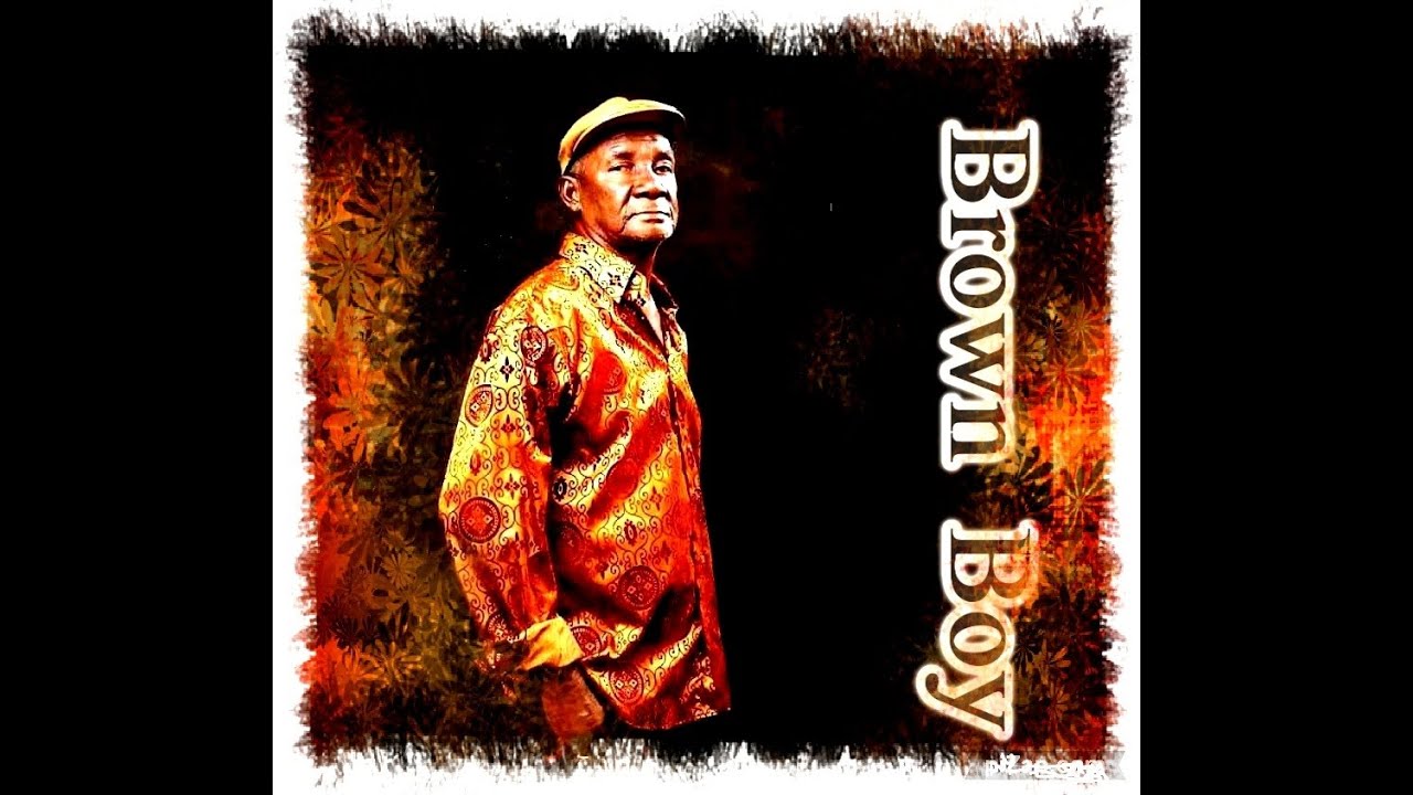 Brown Boy ~ The Lawyer