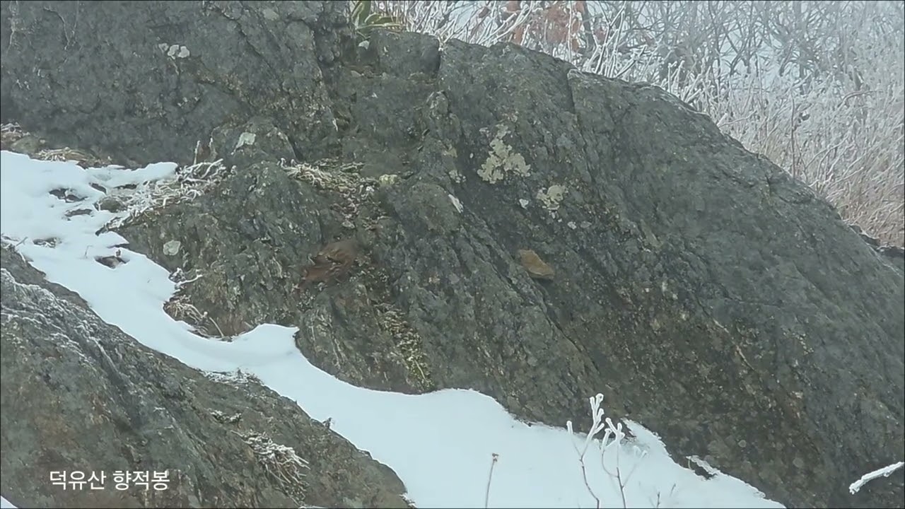 덕유산설경2