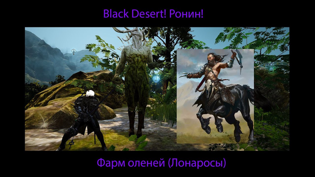 Black Desert! Ронин! Фарм оленей (Лонаросы)