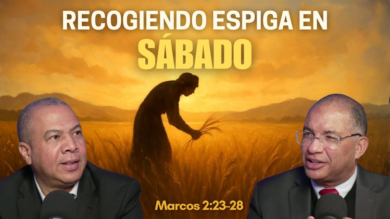 Recogiendo Espigas en sábado | Tu Historia en la Biblia.