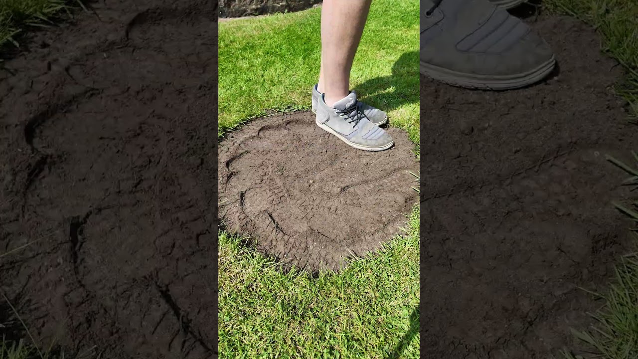 Rasen s&auml;en in 30 Sekunden &ndash; so einfach geht&rsquo;s! 🌱💦