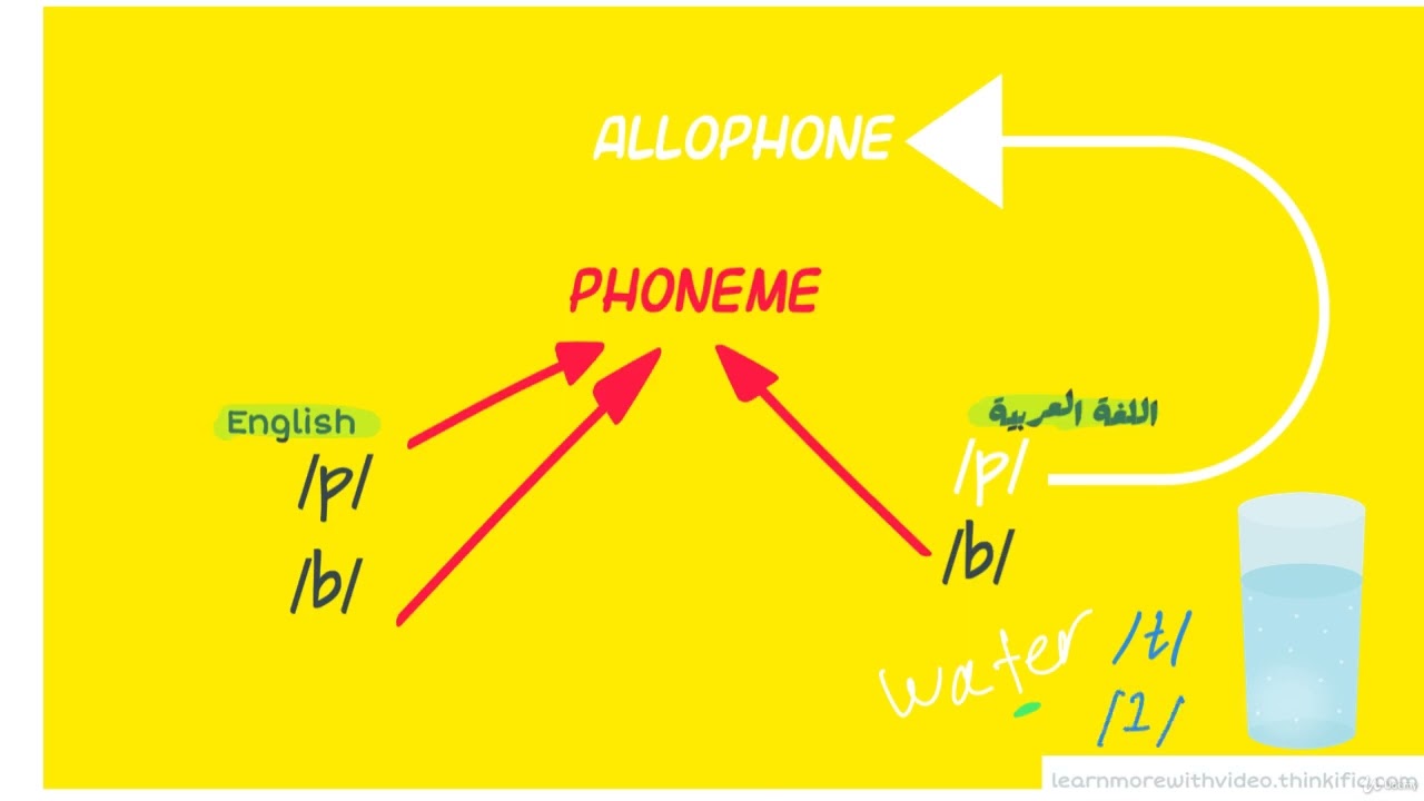 Phonetics 4 - Phonemes & Allaphones شرح